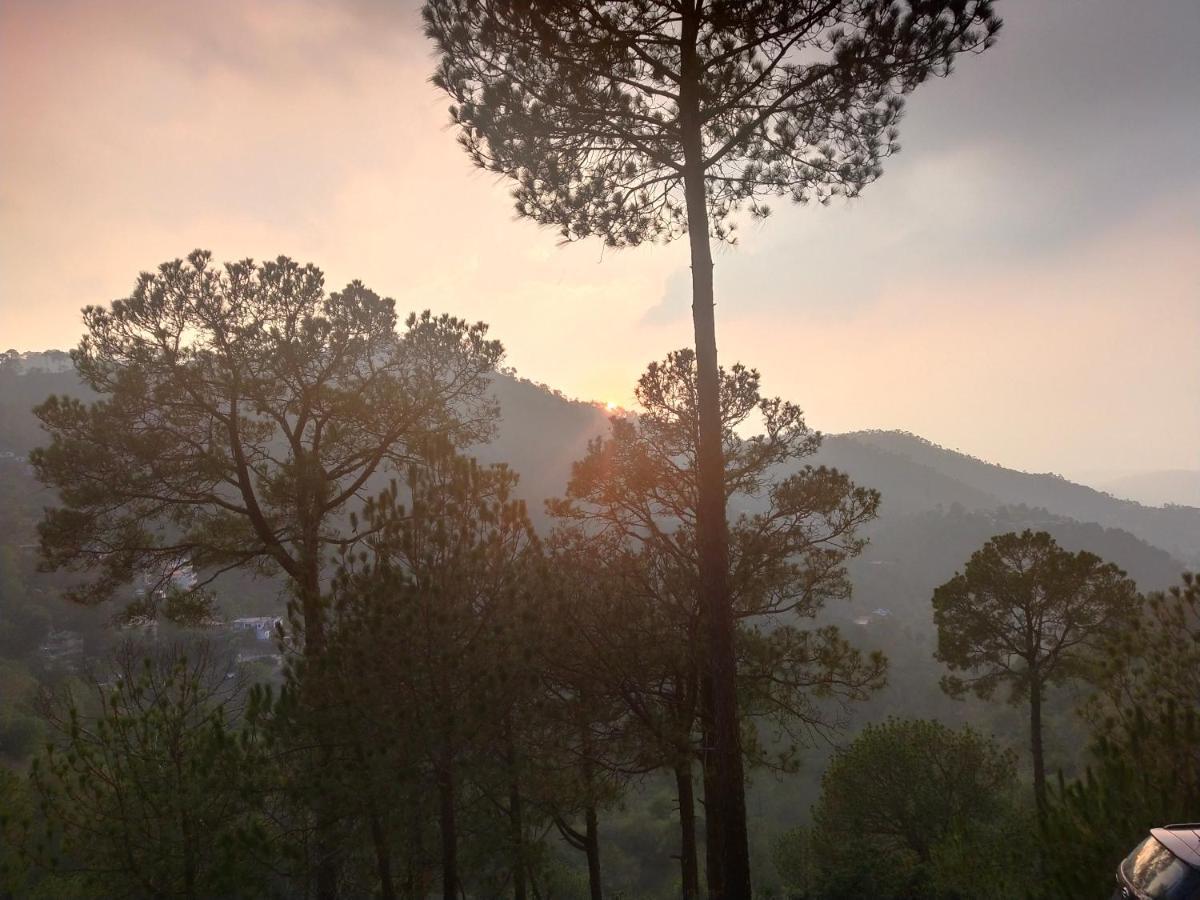 Pine Villa Kasauli Exterior photo
