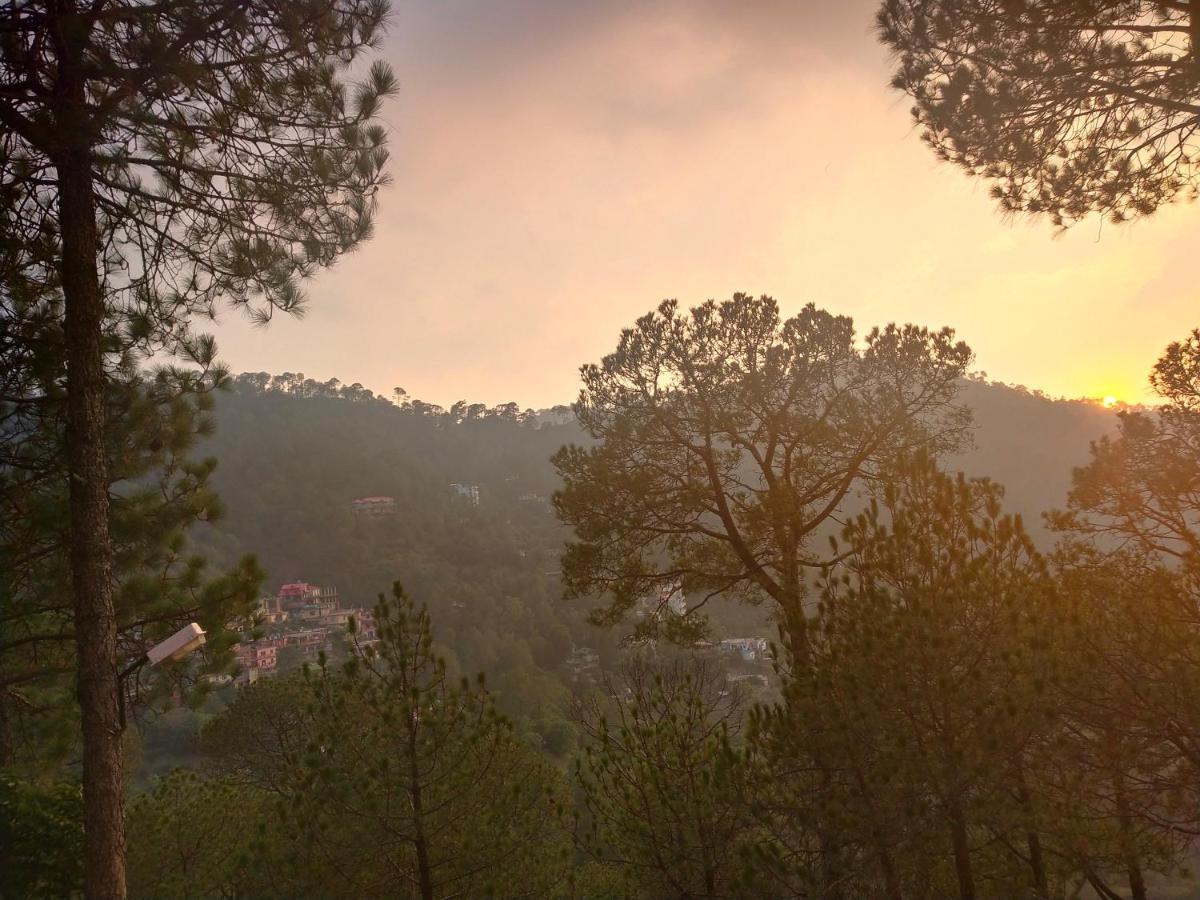 Pine Villa Kasauli Exterior photo