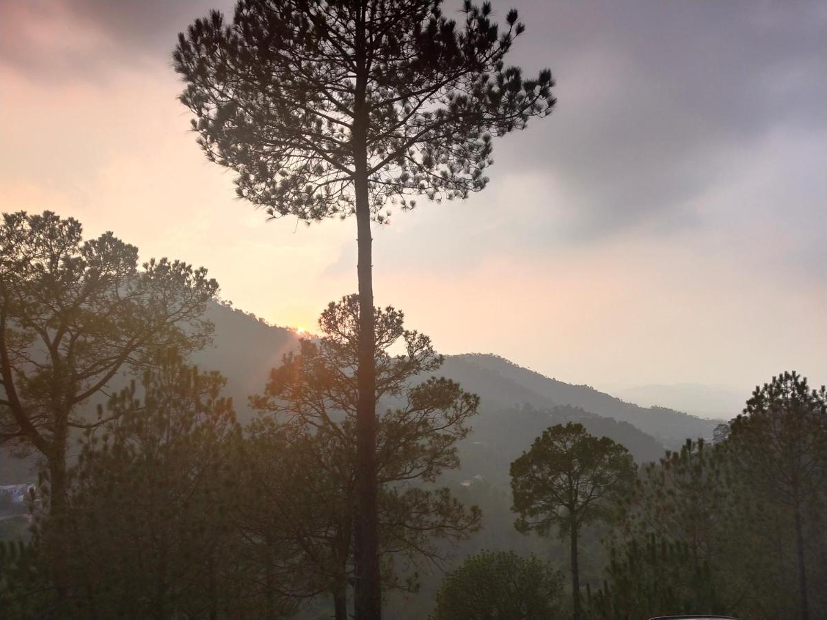 Pine Villa Kasauli Exterior photo