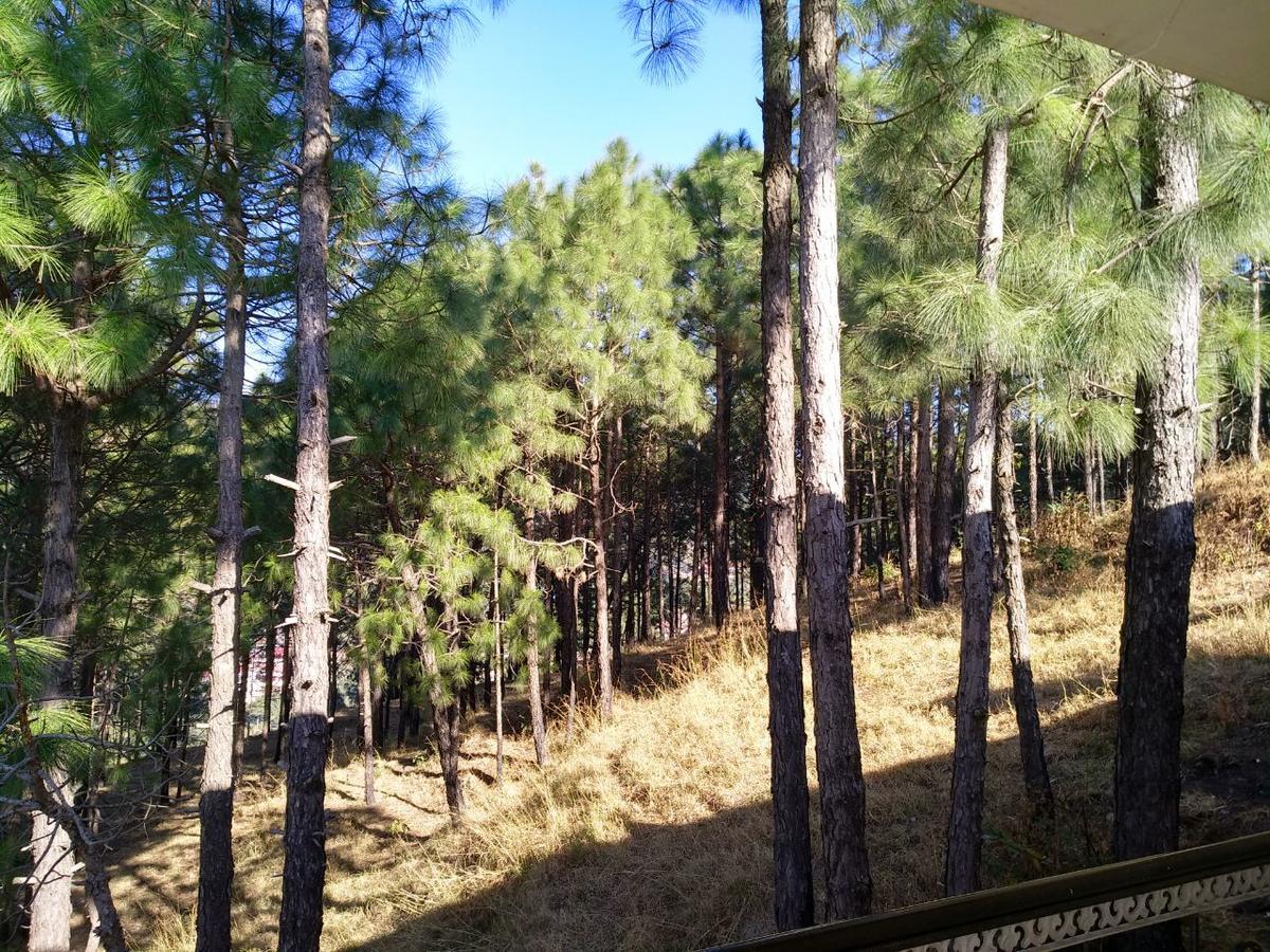 Pine Villa Kasauli Exterior photo