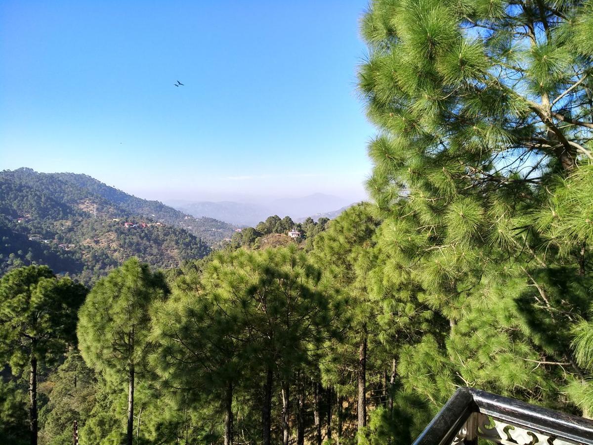 Pine Villa Kasauli Exterior photo