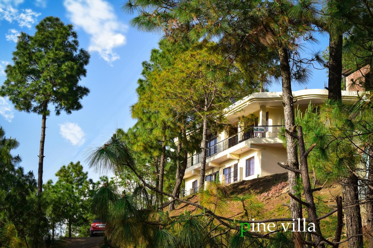 Pine Villa Kasauli Exterior photo
